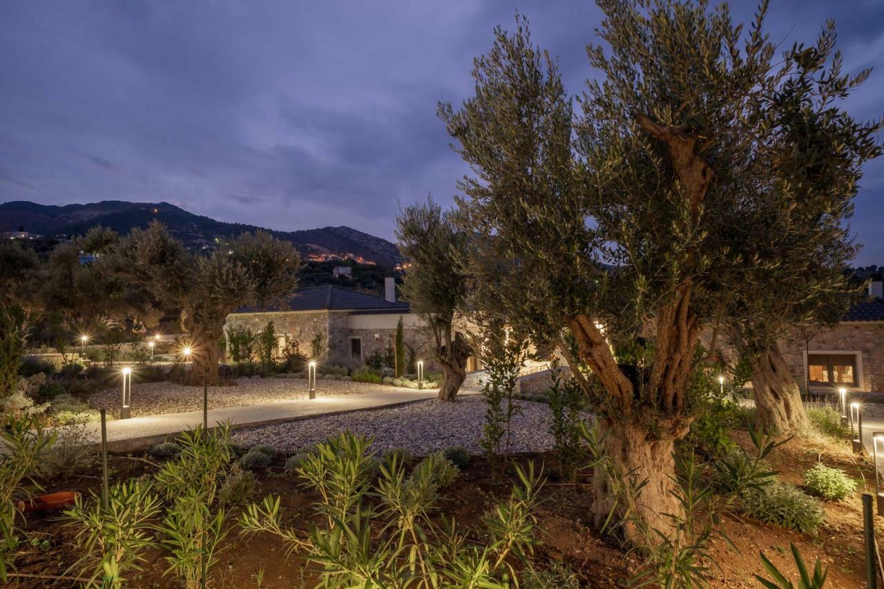 Elies Residences Luxury Apartments Mytilene Bagian luar foto